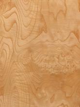 White Ash Burl Veneer
