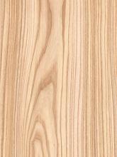 Flat Cut Red Elm Veneer