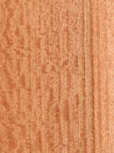 Quartered Figured Etimoe Veneer