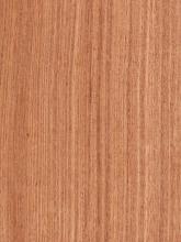 Quartered Plain Etimoe Veneer
