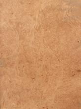 Maple Burl Veneer