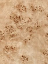 Mappa Burl Wood Veneer