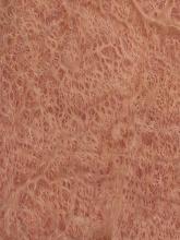 Redwood Burl Veneer