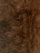 Walnut Burl Veneer