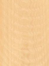 Flat Cut Figured Fishbone Beech Wood Veneer