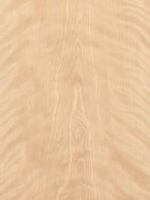 Flat Cut Figured White Birch Veneer