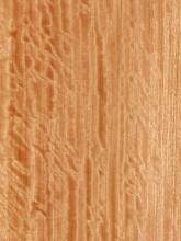 Quartered Figured Bosse Veneer