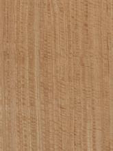Quartered Figured Eucalyptus Bee's Wing Veneer