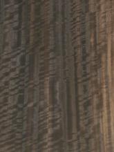 Quartered Figured Fumed Eucalyptus Veneer Block Mottle