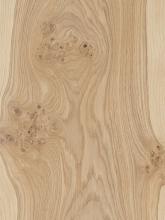 Oak Euro Cluster Veneer