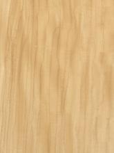 Quartered Prima Vera Wood Veneer