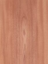 Sapele Flat Cut Plain Veneer