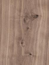 Rustic Knotty Walnut Veneer