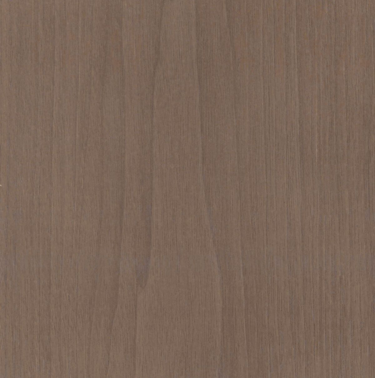 WL25 Capella Walnut (W2)